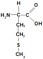estrutura quimica metionina função alimentos