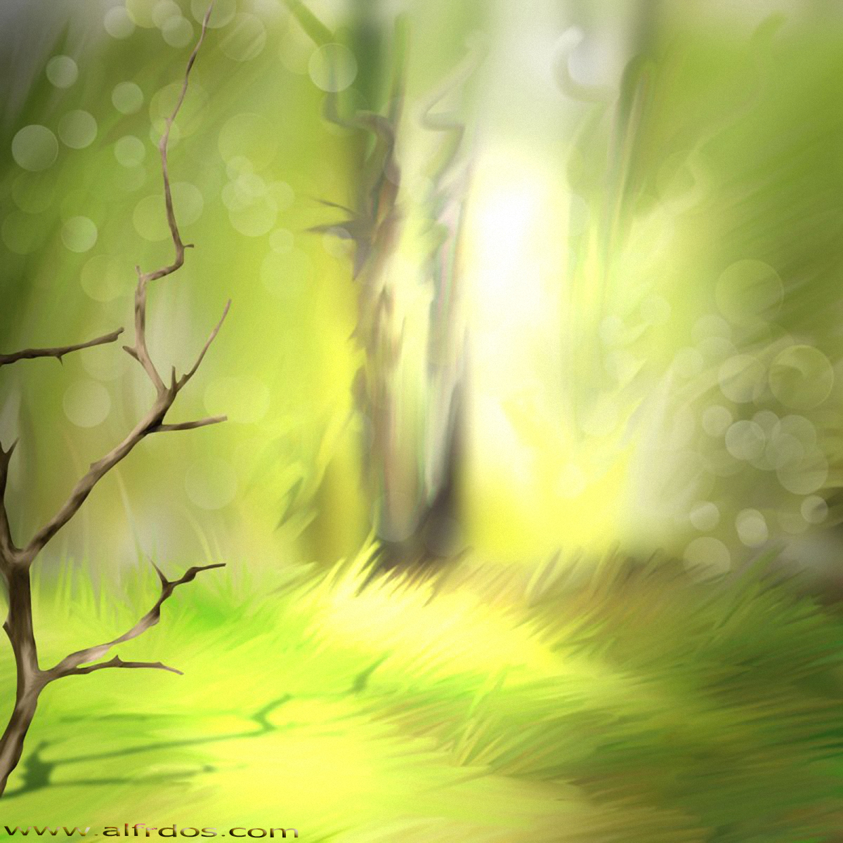 عالمي الخاص خلفيات فوتوشوب