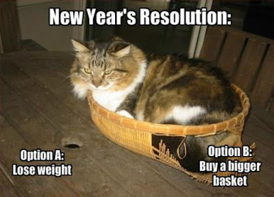 True Book Addict&hellip;Books, Cats, and More: #CatThursday - Wishes for a Happy New Year #cats