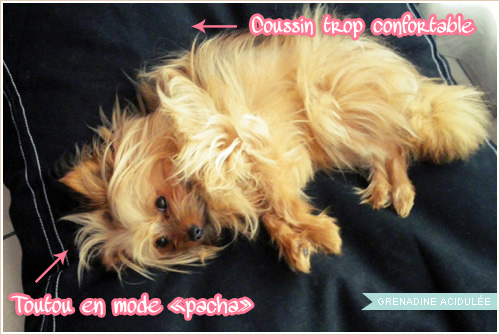  Louise Grenadine blog slow lifestyle à Lyon