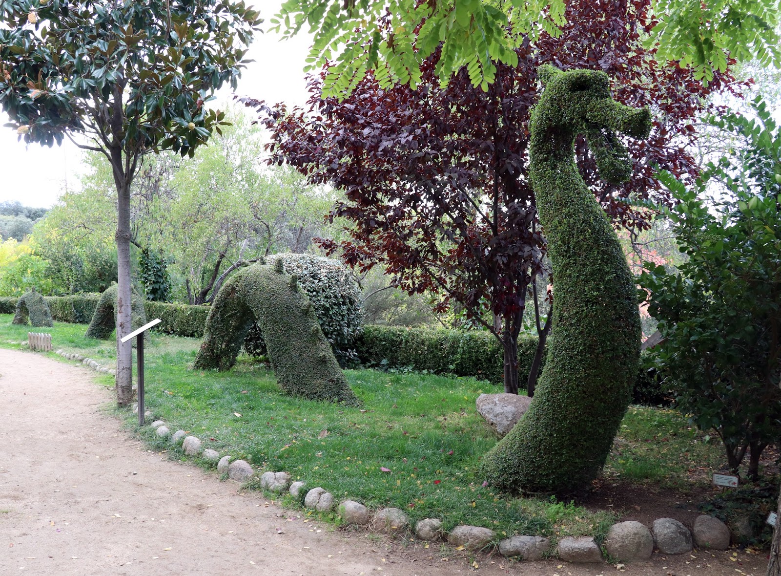 JOYANCO BOSQUE ENCANTADO SAN MARTIN DE