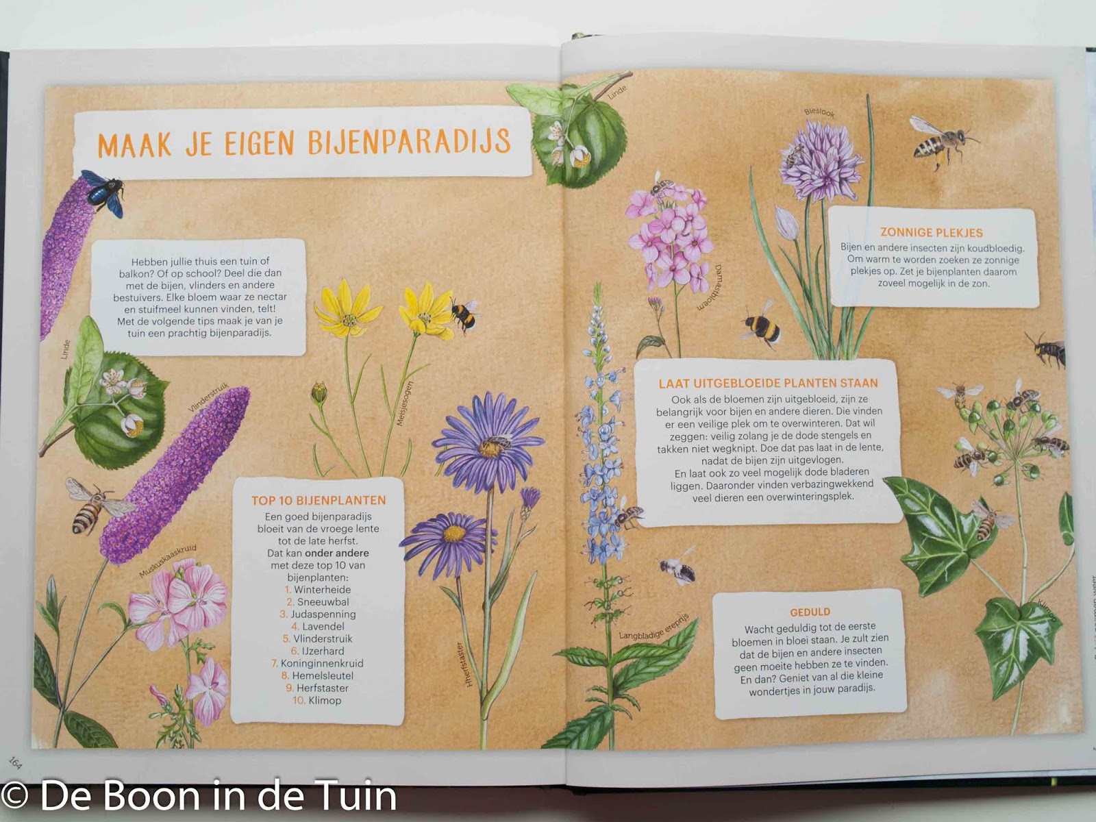 recensie handboek bijenfans bijen bijensterfte japser de ruiter gerard sonnemans