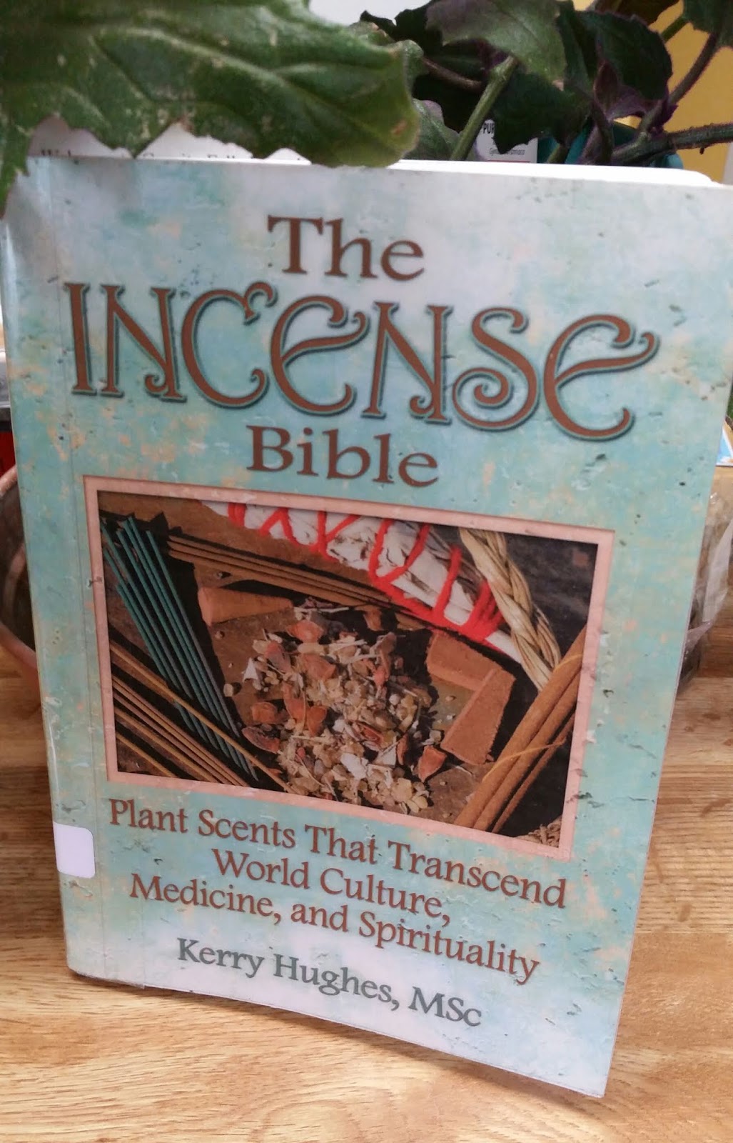 The Gathering of Books "The Incense Bible" by Kerry Hughes, MSc, Book Review