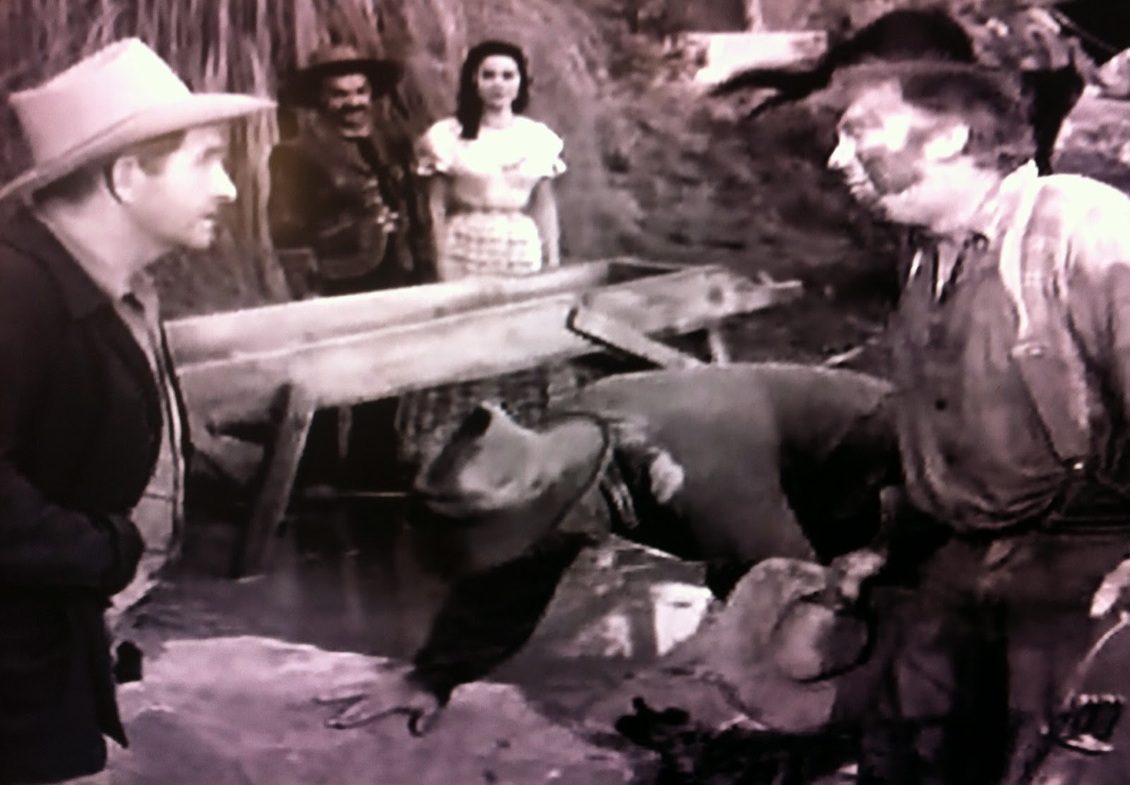 The Horn Section Maverick Mondays The Spanish Dancer 1958