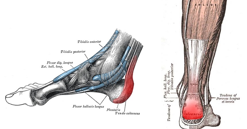 Running writings: Injury Series: Flat eccentric heel drops for