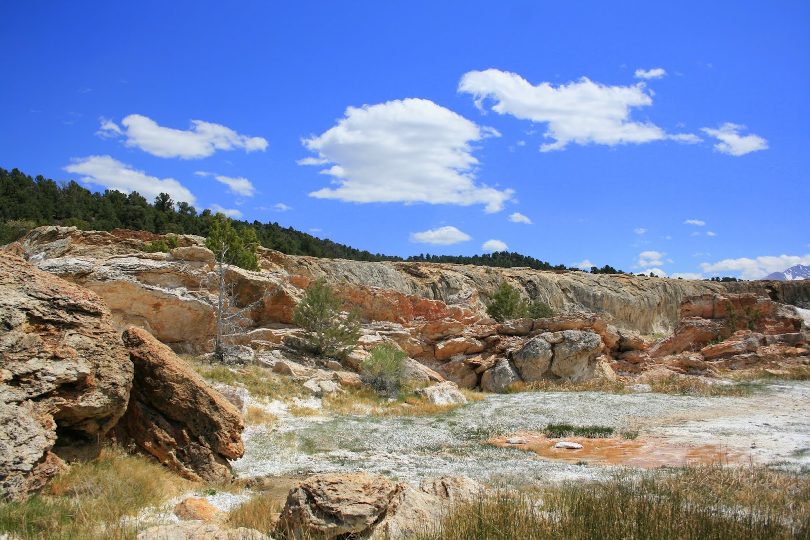 Stillhowlyntravels Bridgeport & Travertine Hot Springs