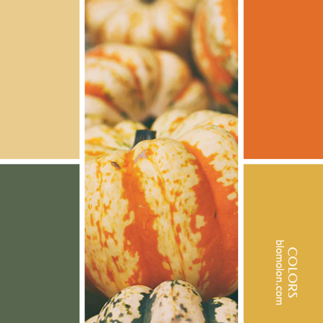 variedad en color combinacion 44 variedad_en_color_combinacion_44
