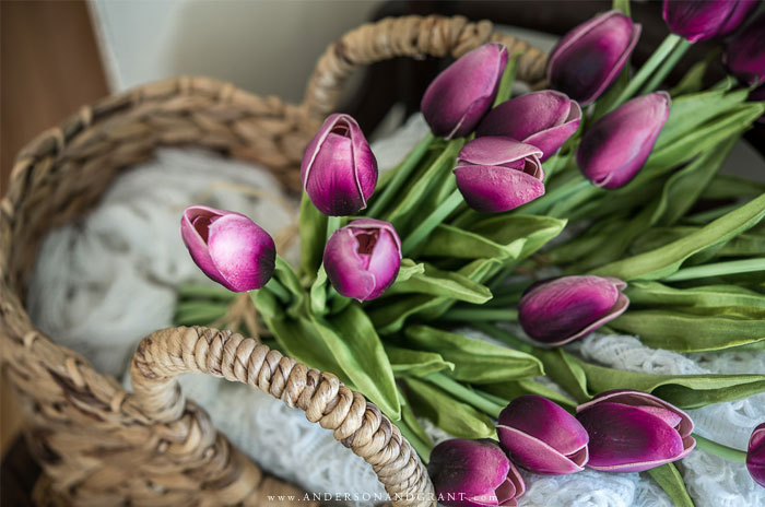 Purple tulips in basket