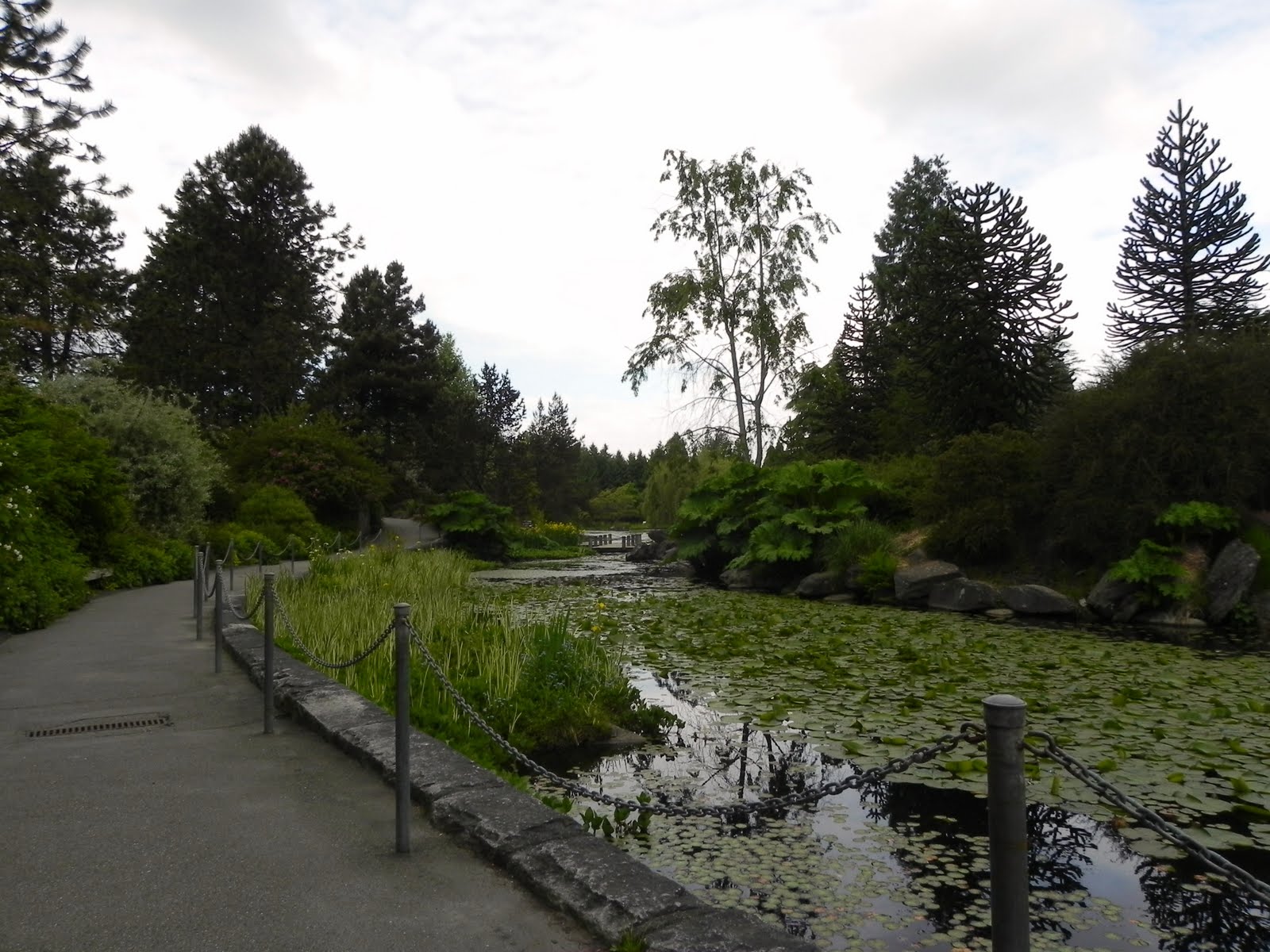 AccessEco BC Van Dusen Gardens growing more accessible