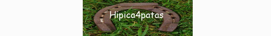 hipica4patas