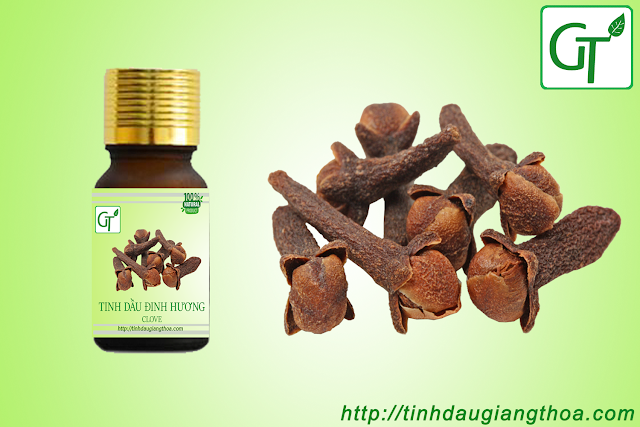 Tinh dầu Đinh Hương nguyên chất Tinh dầu Đinh Hương nguyên chất