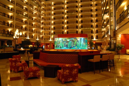 TECNOLOGIA | DISEÑO|: increíbles imágenes de diseño de acuarios