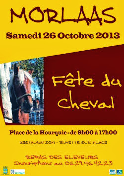 la fête du cheval 2013 à Morlàas