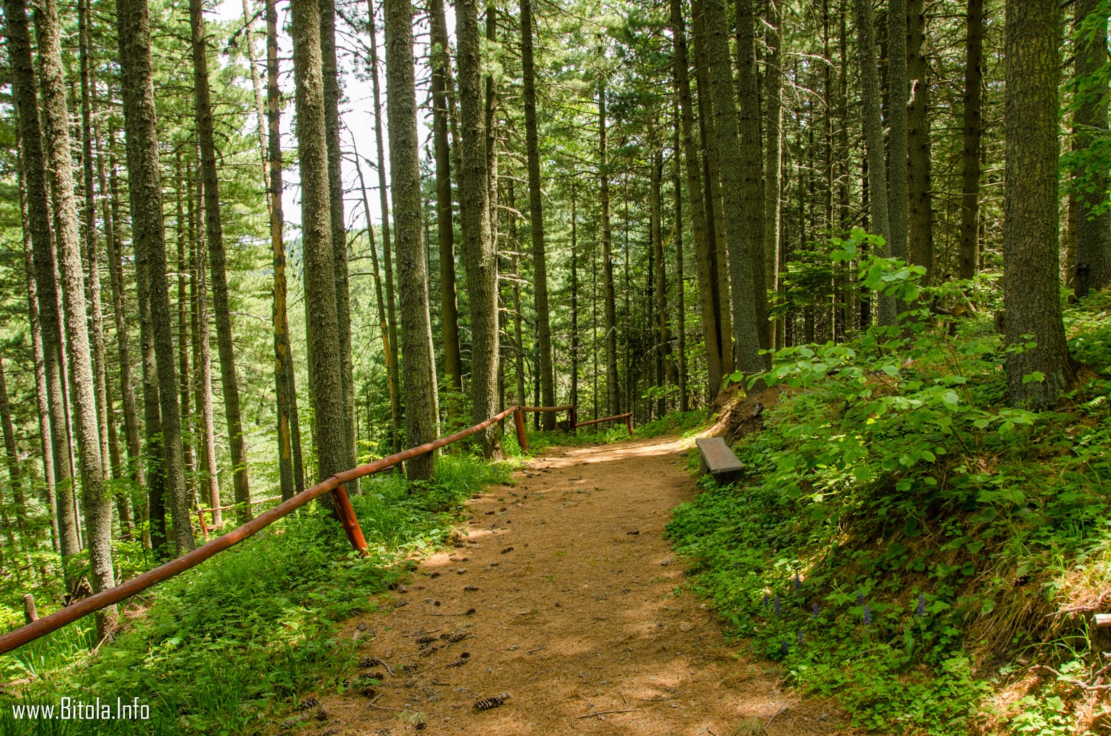 Pelister - National Park, Republic of Macedonia
