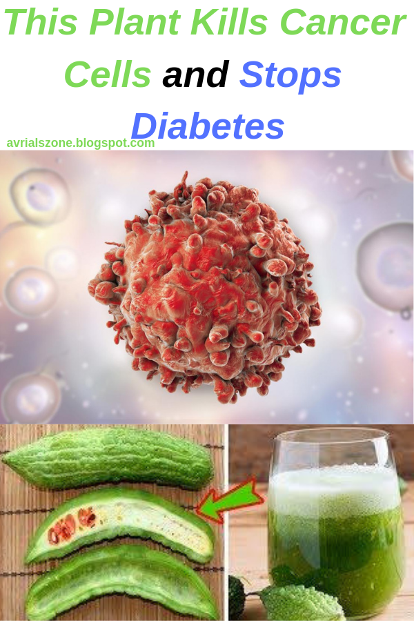 Healthy Beauty and Diet This Plant Kills Cancer Cells and Stops Diabetes