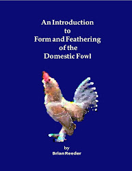 NOW AVAILABLE      'An Introduction to Form and Feathering of the Domestic Fowl'