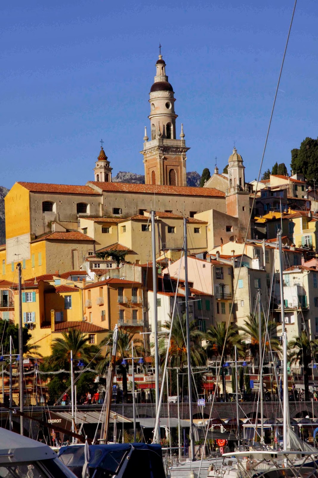 nathalie cousin Noël sous les palmiers