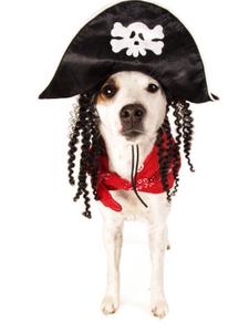 Ten Pet Costumes To Bow Wow Your Friends This Halloween