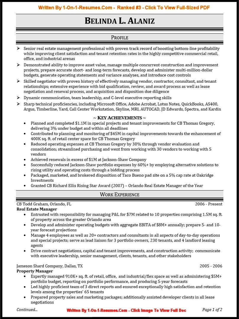 resume pro modern lubavitch shidduch resume picture