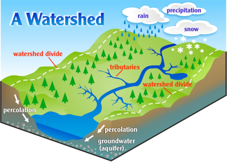 What is a Watershed?