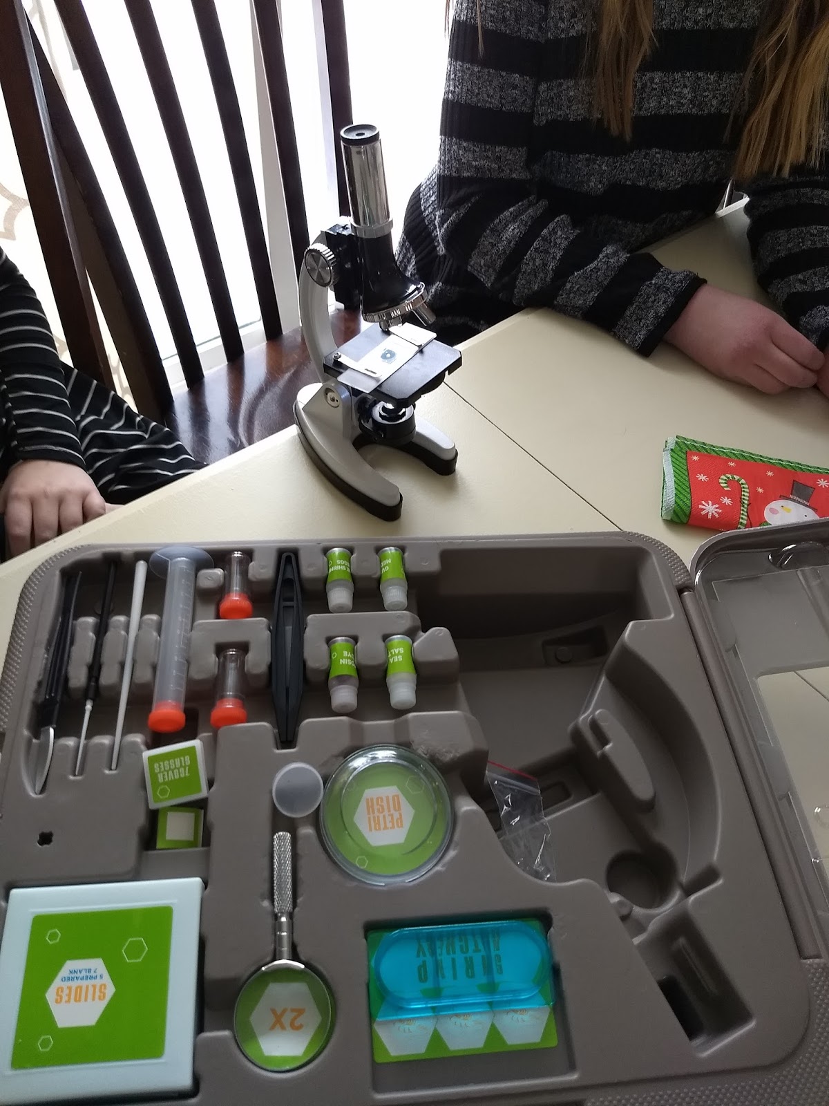 the cool science dad science gift idea for kids a microscope