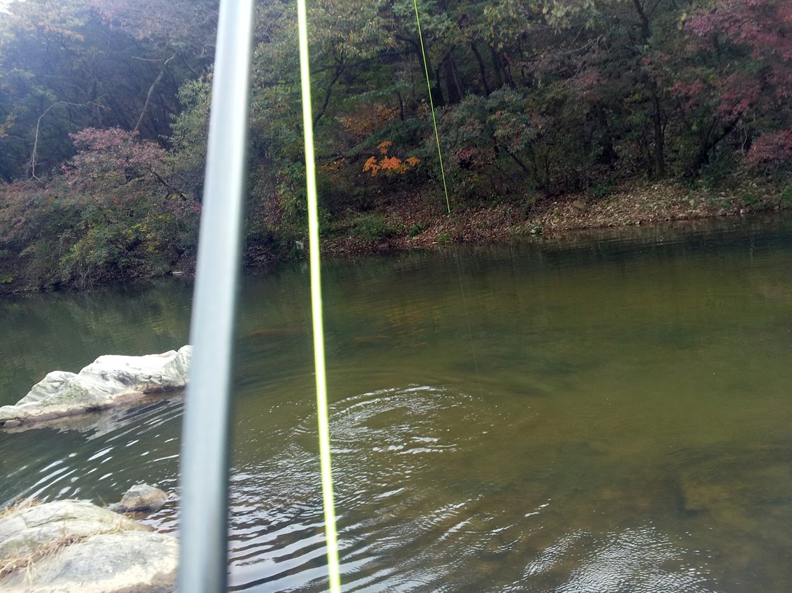 four seasons angling club Pay Trout Ponds