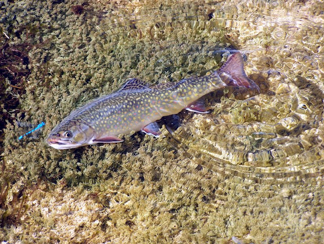 Good Fishing Spots In Palm Beach County Good Fishing Spots In Palm Beach County