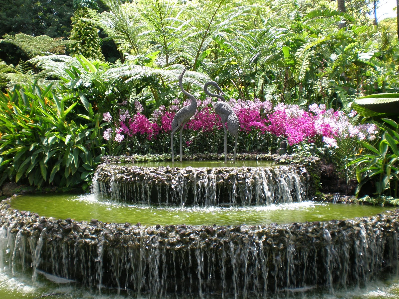 Singapore National Orchid Garden rolling writes