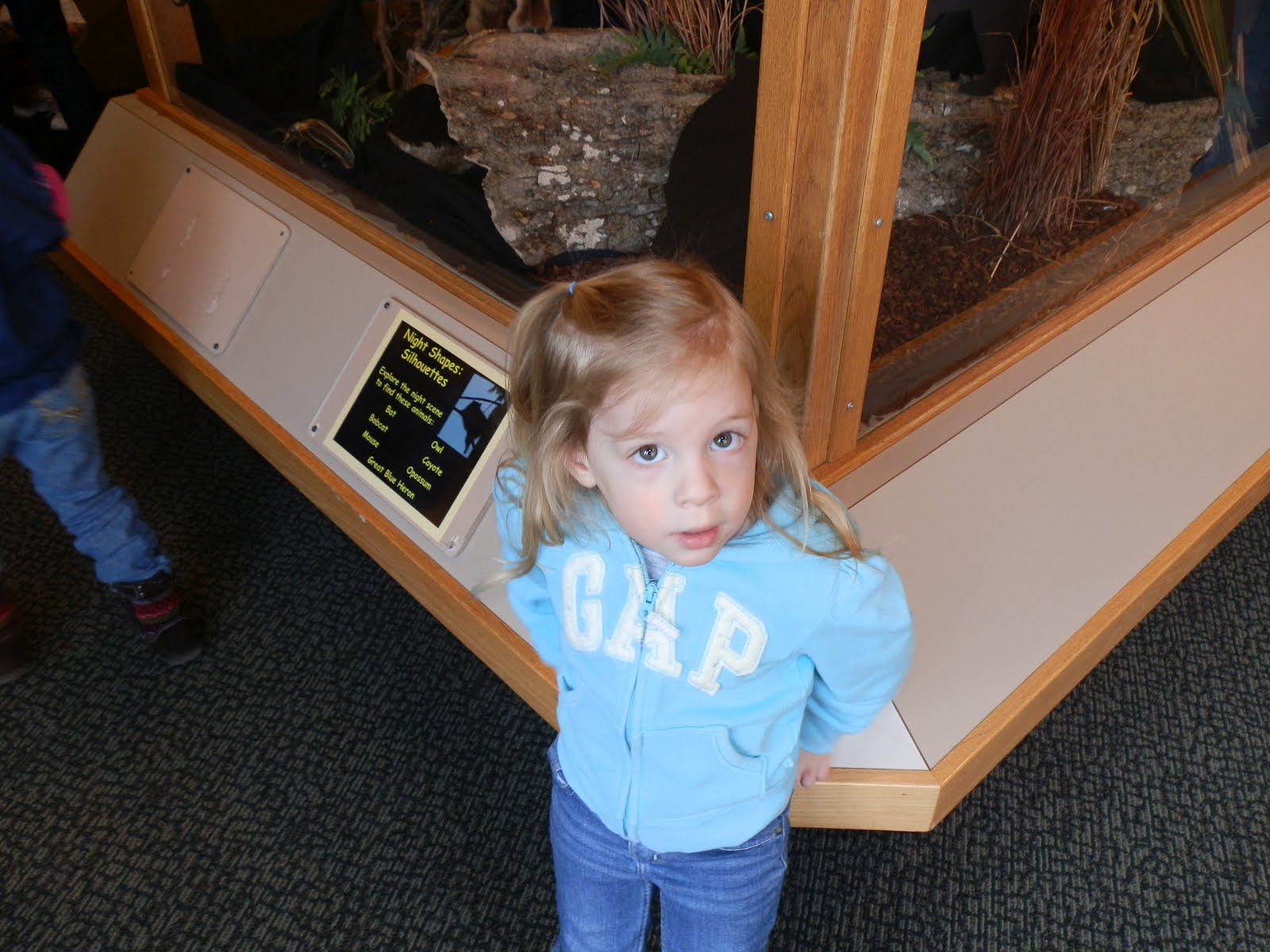 The Maddens Burr Oak Woods Nature Center