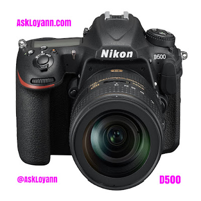 Best Nikon D500 SLR Camera Review
