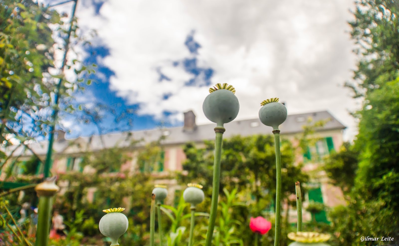 JARDIM DE MONET - GIVERNY - FRANÇA