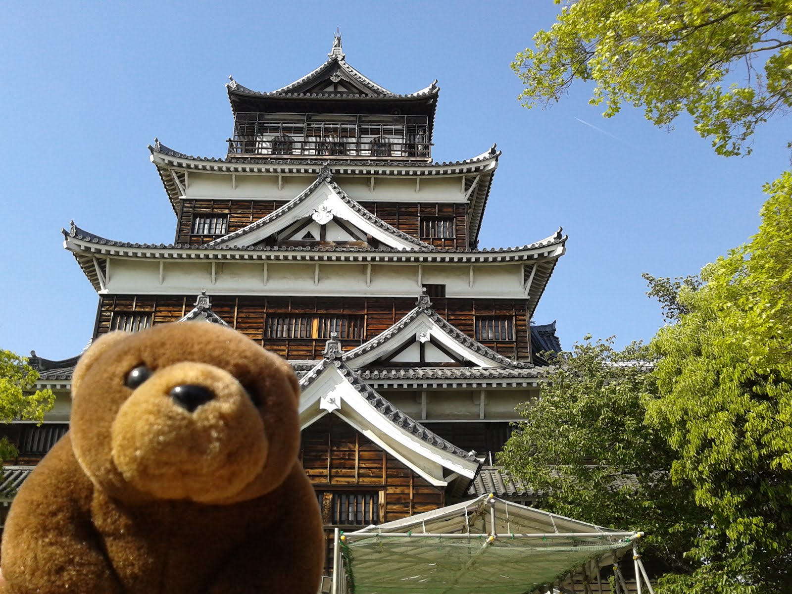 Teddy in Hiroshima Castle, Hiroshima