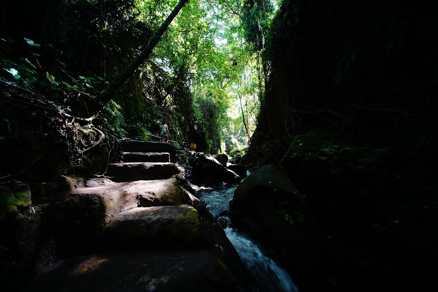 Monkey Forest Ubud, Bali