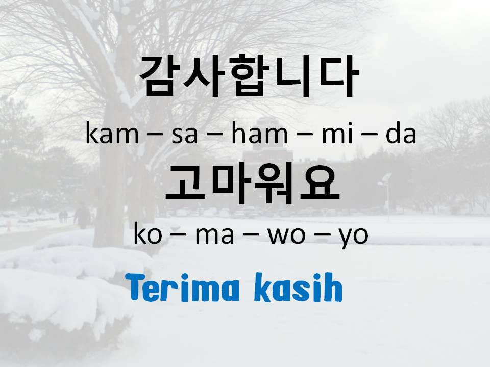 Bahasa melayu ke korea