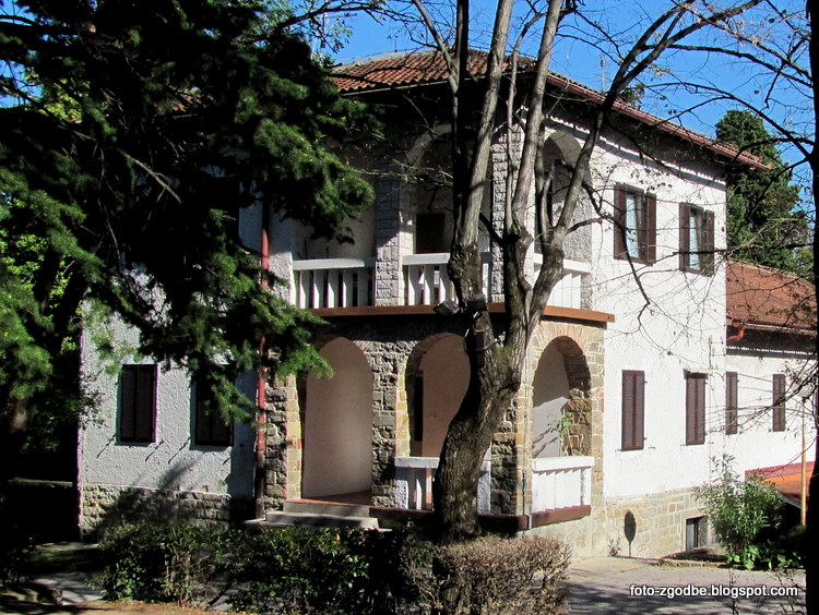 Foto zgodbe: Debeli Rtič, naravni spomenik in mladinsko zdravilišče