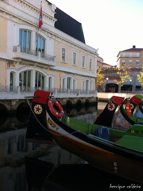 aveiro | portugal aveiro