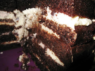 Close up of chocolate cake layered with cream