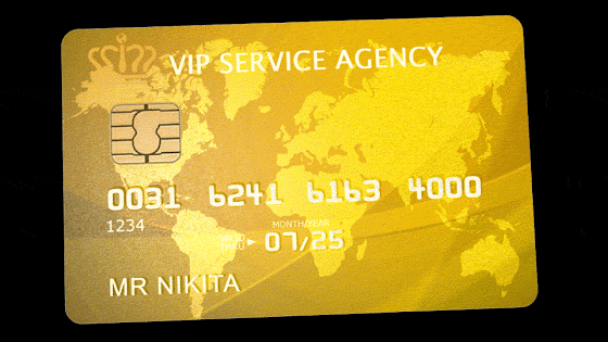 The VIP Service Agency