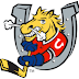 Download the Official @OHLBarrieColts App! #OHL
