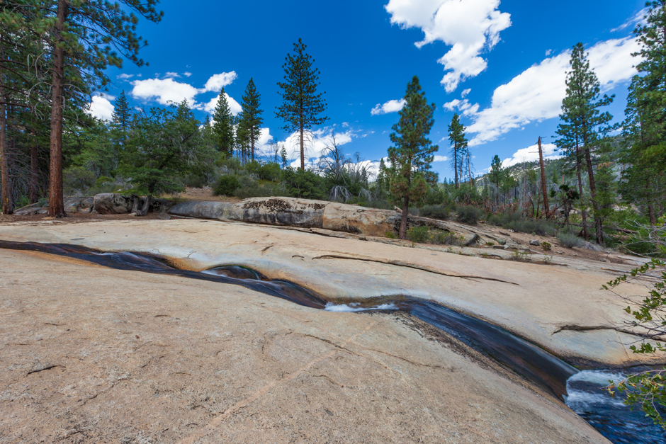 Swimming Holes of California Alder Slabs, Sequoia National Park