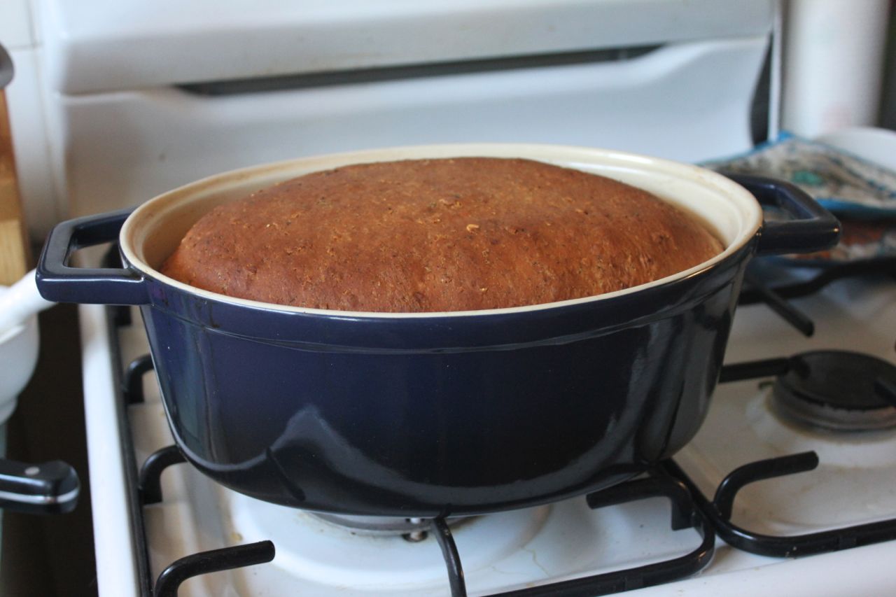 Green Gourmet Giraffe Cottage Cheese And Chive Bread And The Uke Fest