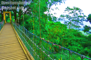 The hanging bridge of Eco-Adventure Trail Picnic Grove Tagaytay