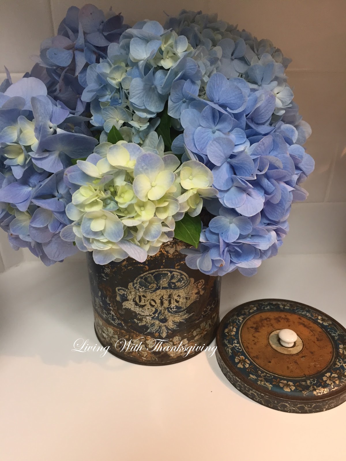 The Next Stage Women And Retirement A Good Year For Peonies For