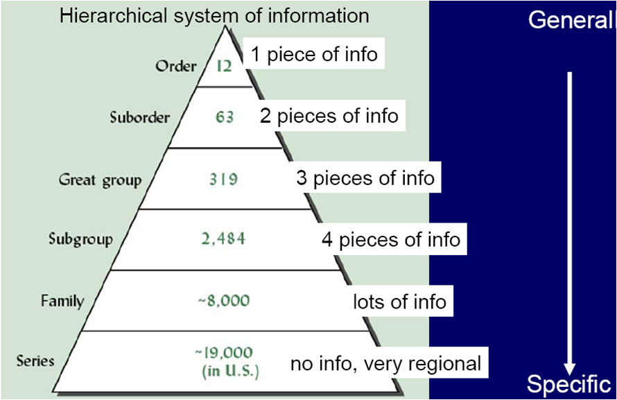Anchoring bias картинки. Экономика. Цифровые технологии в маркетинге. Инновационные идеи. Кадры из фильма cognitive biases.