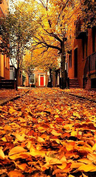 Looking At Life Through My Bifocals Sharing My Life One Day At A Time Fall In Philadelphia Elfreth S Alley