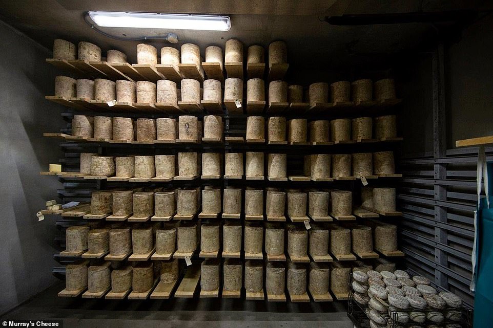 The world's largest gold vault, cheese caves and a NUCLEAR REACTOR Ten