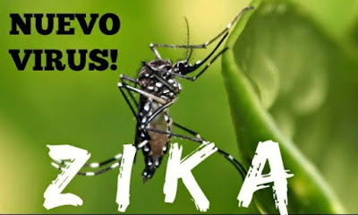 Algumas coisas que precisa de saber sobre o vírus Zika