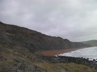 seatown beach from golden cap fossil collecting