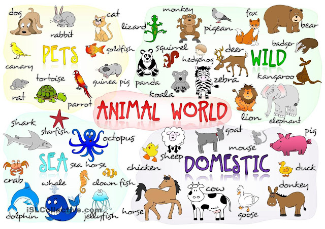 Resultado de imagen de vocabulary of animals