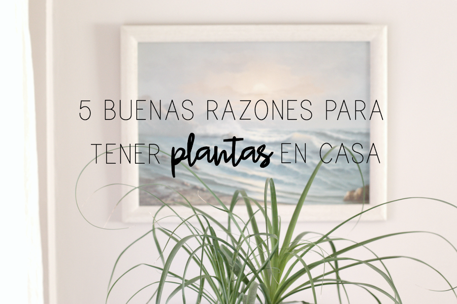 http://mediasytintas.blogspot.com/2017/04/5-buenas-razones-para-tener-plantas-en.html